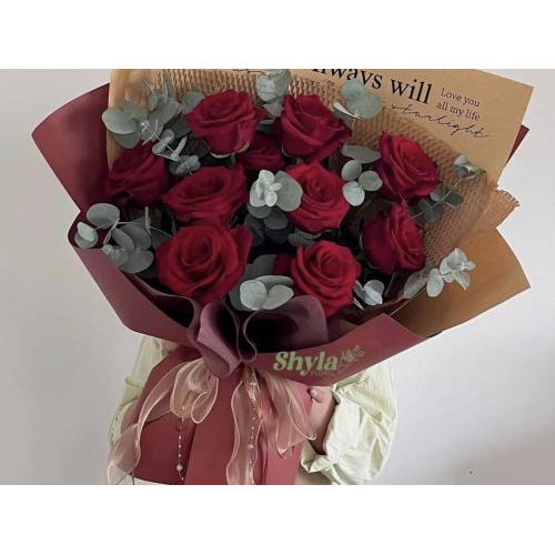 Giới thiệu về sản phẩm